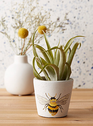 Le cache-pot petite abeille